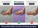 CloudeCore Standard